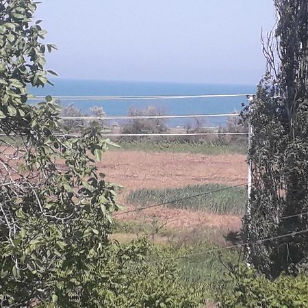 Bed and Breakfast Rey 2 Nabran Zewnętrze zdjęcie