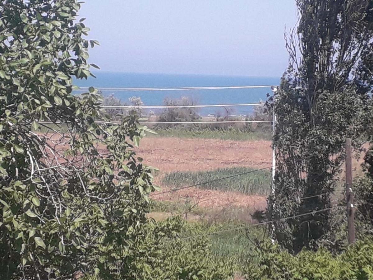 Bed and Breakfast Rey 2 Nabran Zewnętrze zdjęcie